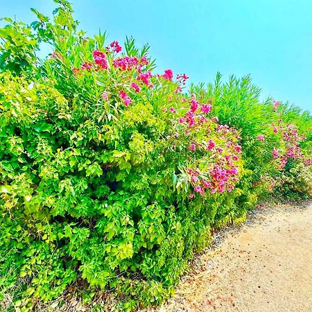 Tetraktys Estate Beachside Υδωρ Ágios Matthaíos Dış mekan fotoğraf