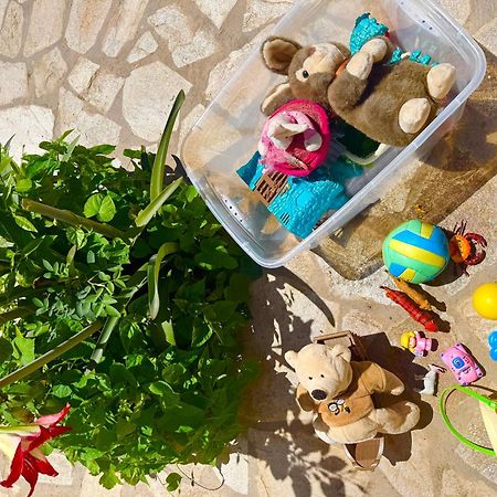 Tetraktys Estate Beachside Υδωρ Ágios Matthaíos Dış mekan fotoğraf