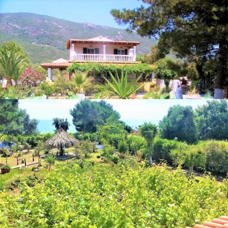 Tetraktys Estate Beachside Υδωρ Ágios Matthaíos Dış mekan fotoğraf