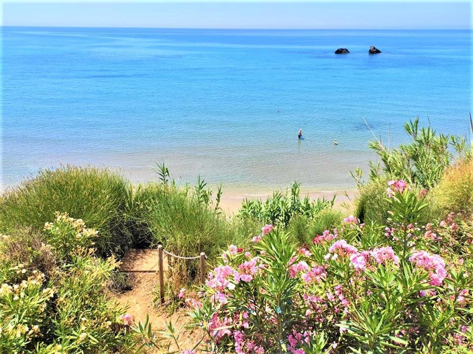 Tetraktys Estate Beachside Υδωρ Ágios Matthaíos Dış mekan fotoğraf