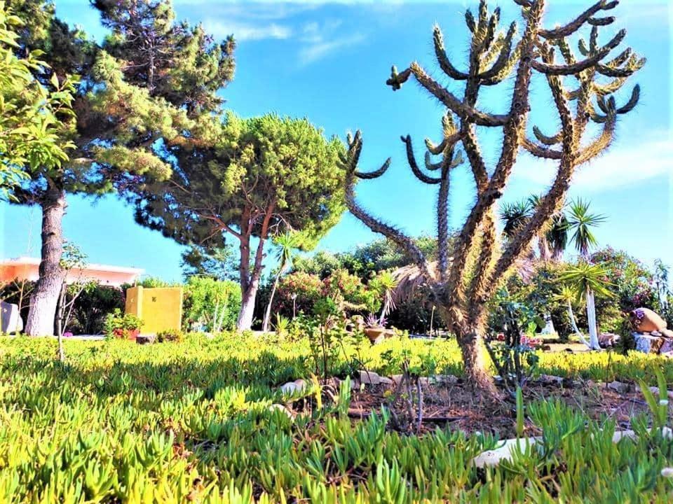 Tetraktys Estate Beachside Υδωρ Ágios Matthaíos Dış mekan fotoğraf