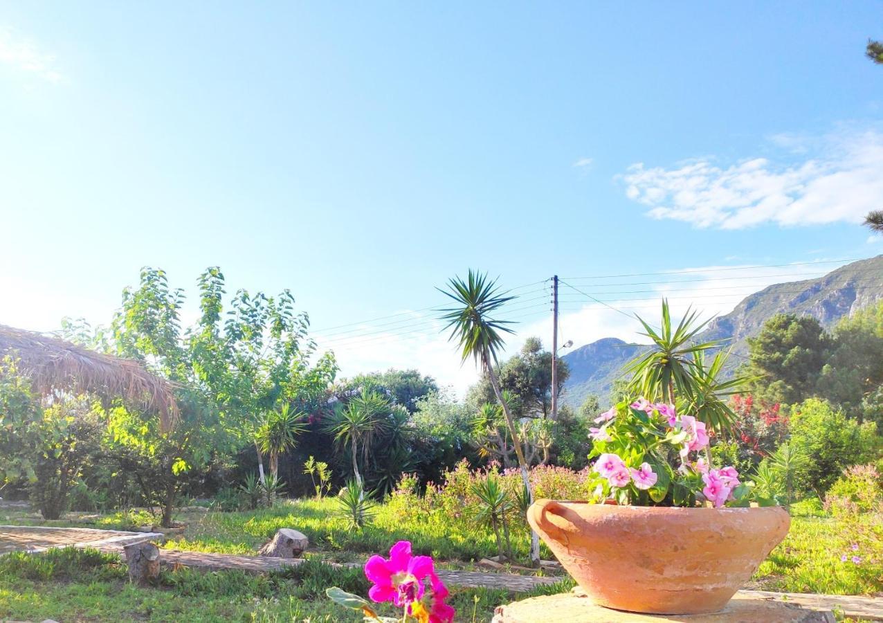 Tetraktys Estate Beachside Υδωρ Ágios Matthaíos Dış mekan fotoğraf