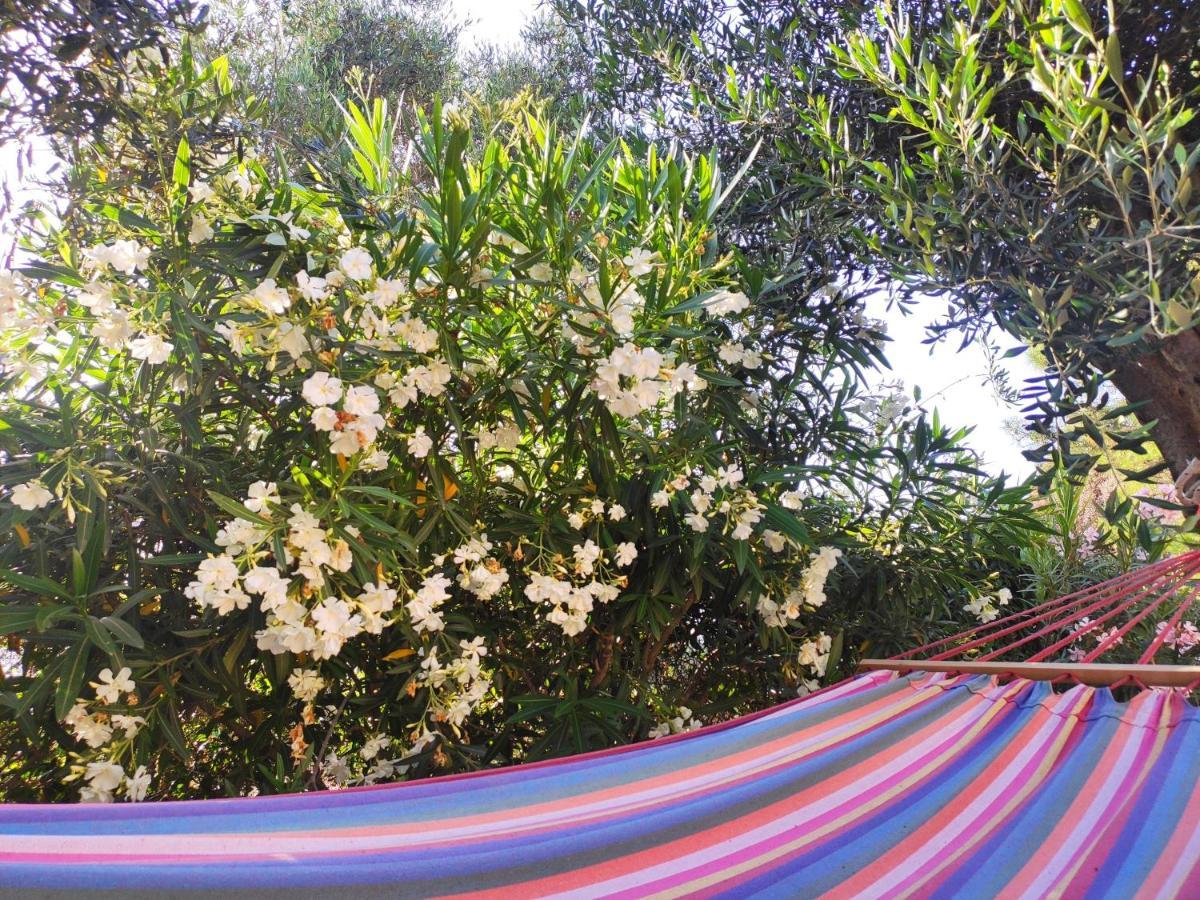 Tetraktys Estate Beachside Υδωρ Ágios Matthaíos Dış mekan fotoğraf