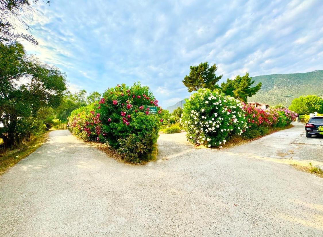 Tetraktys Estate Beachside Υδωρ Ágios Matthaíos Dış mekan fotoğraf